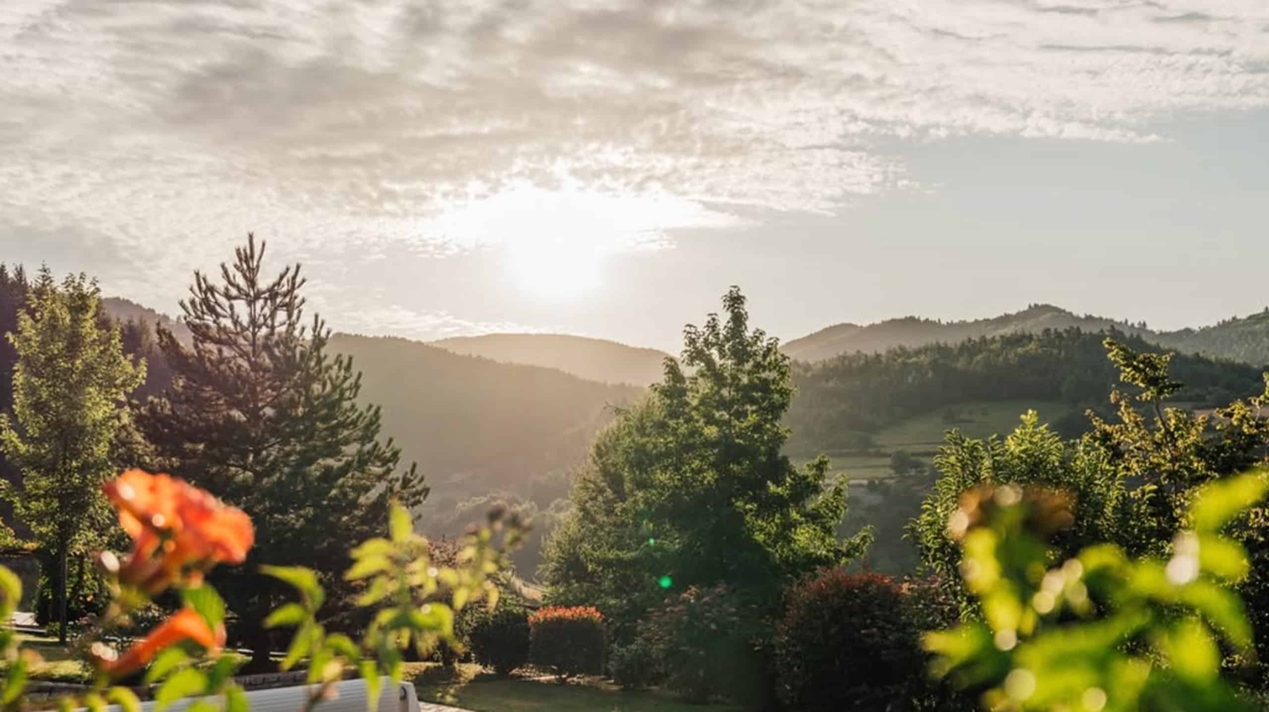 Paysage vallonné et boisé est illuminé par un soleil brillant sous un ciel nuageux. Des arbres et une fleur orange floue apparaissent au premier plan.
