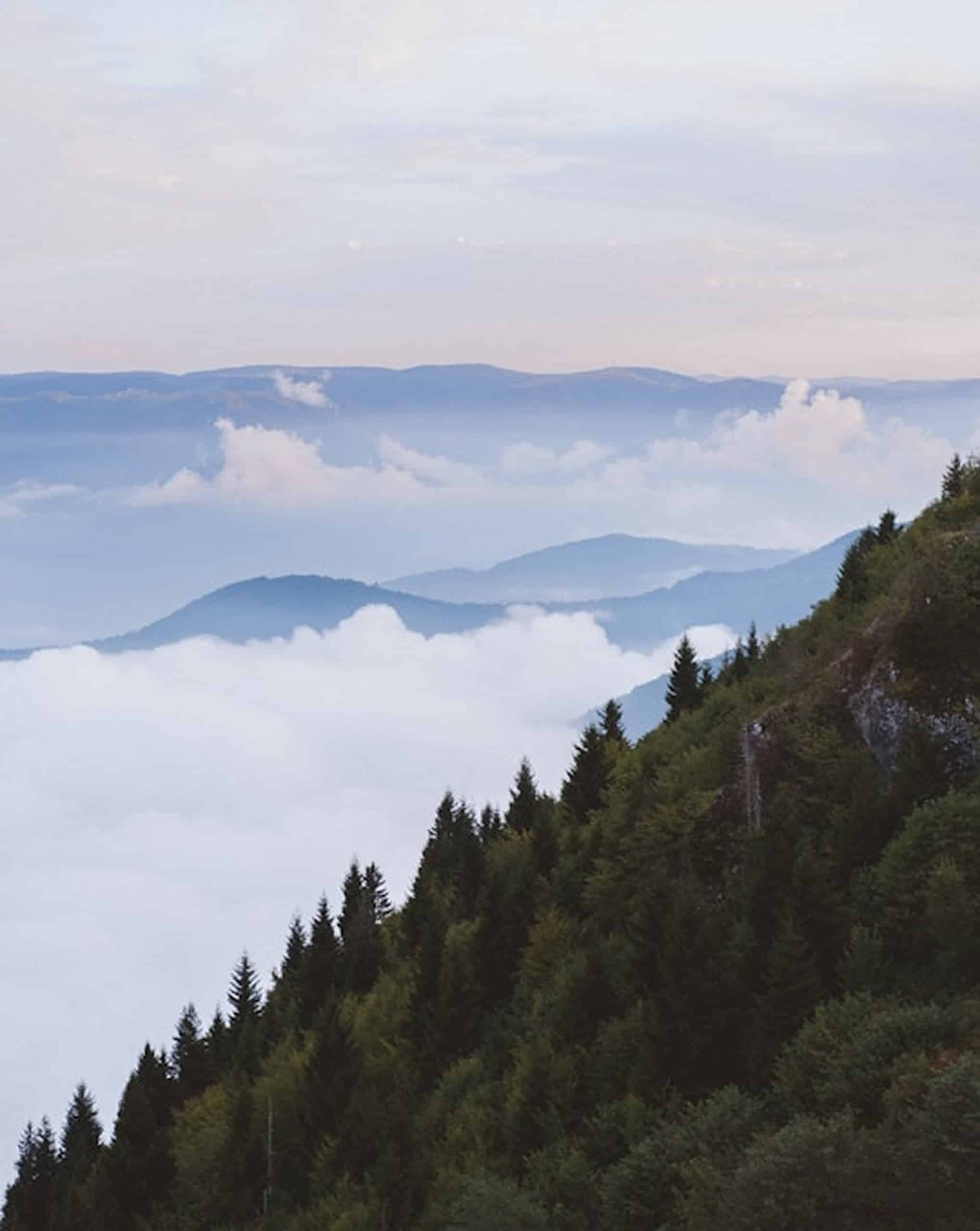 Une montagne densément boisée (conifères) s'élève en diagonale, dominant une mer de nuages recouvrant des chaînes de montagnes lointaines sous un ciel pâle.