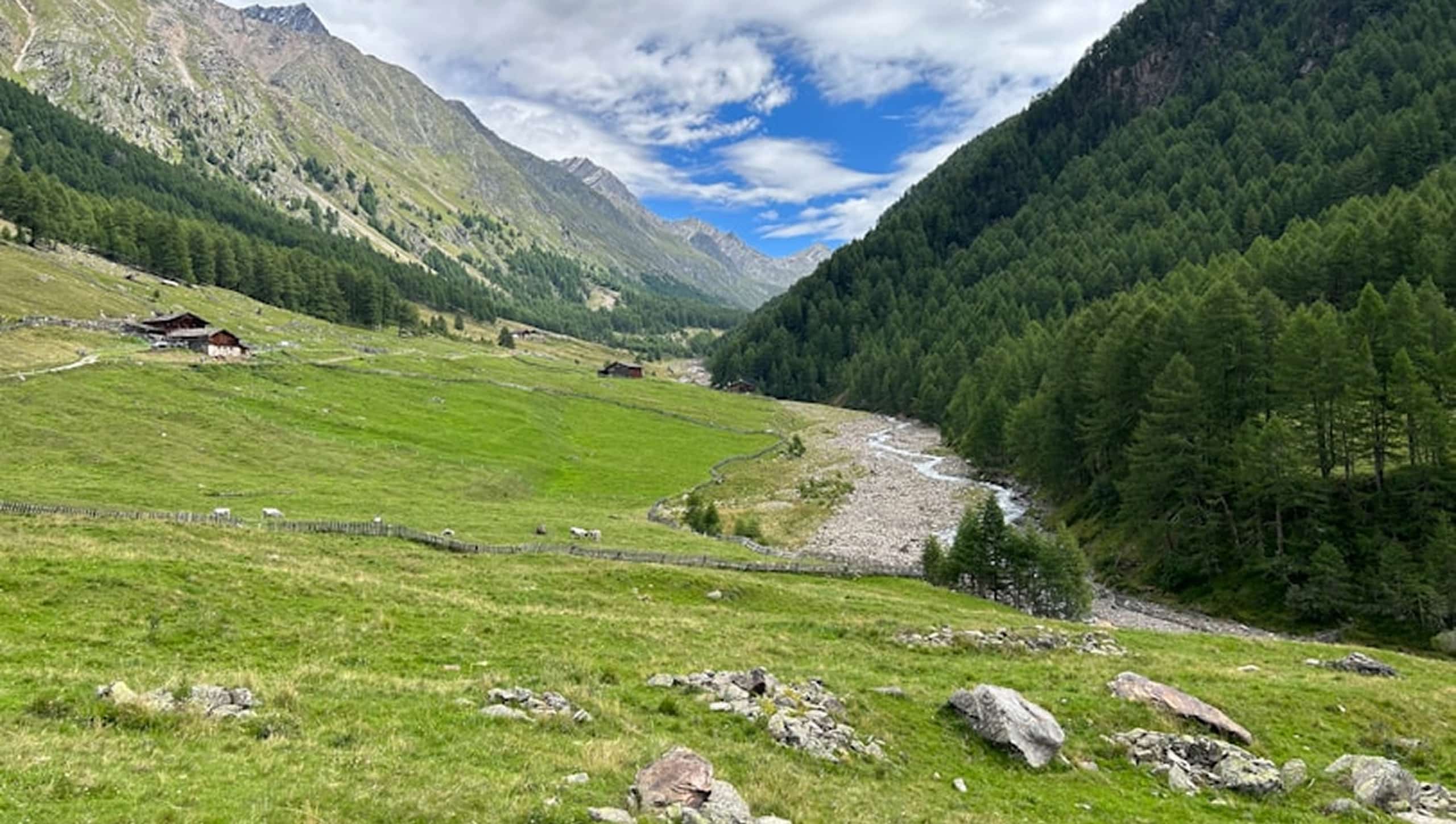Une vaste vallée alpine verdoyante traverse des montagnes. Un torrent serpente entre forêts denses et pentes herbeuses où se nichent des chalets isolés, sous un ciel partiellement nuageux.