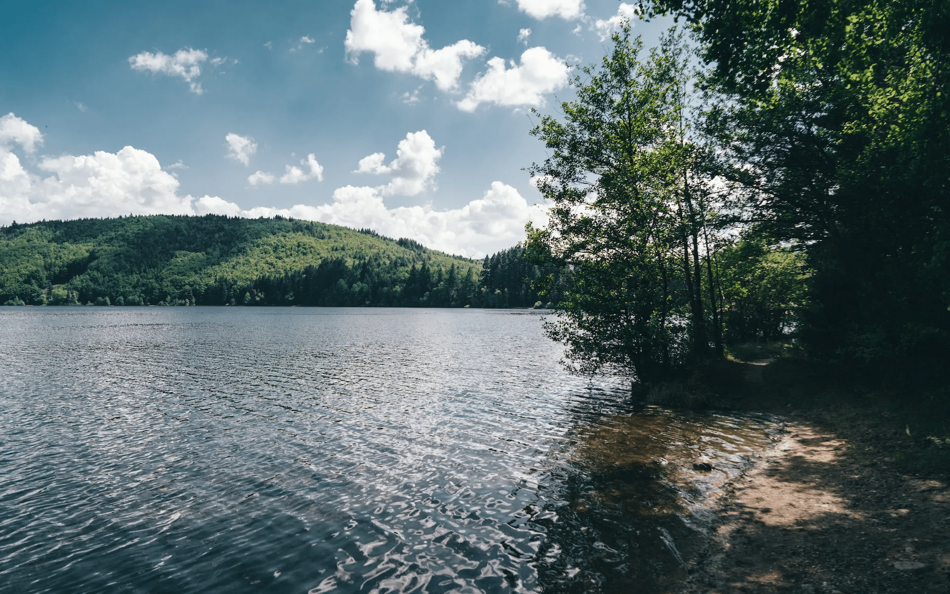 Lac aux eaux ridées sous un ciel bleu nuageux, encadré par une colline forestière verdoyante et un sentier ombragé longeant la rive boisée.