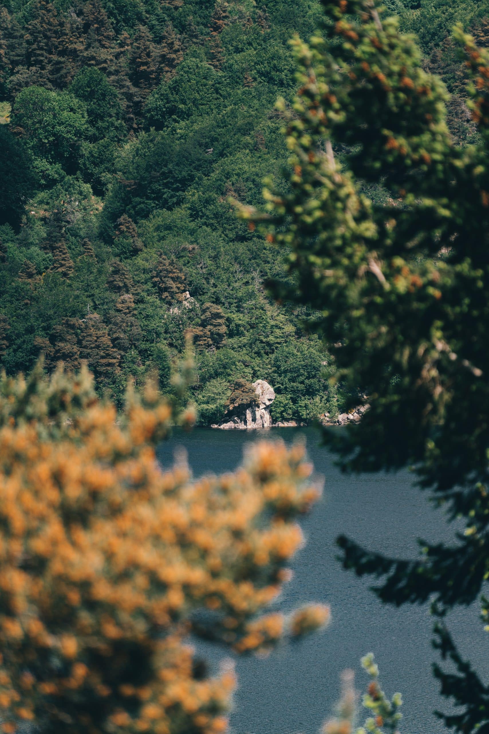 Un lac sombre est niché entre des collines verdoyantes et boisées. Encadré par des feuillages flous, une grande formation rocheuse émerge de l'eau sur la rive opposée.