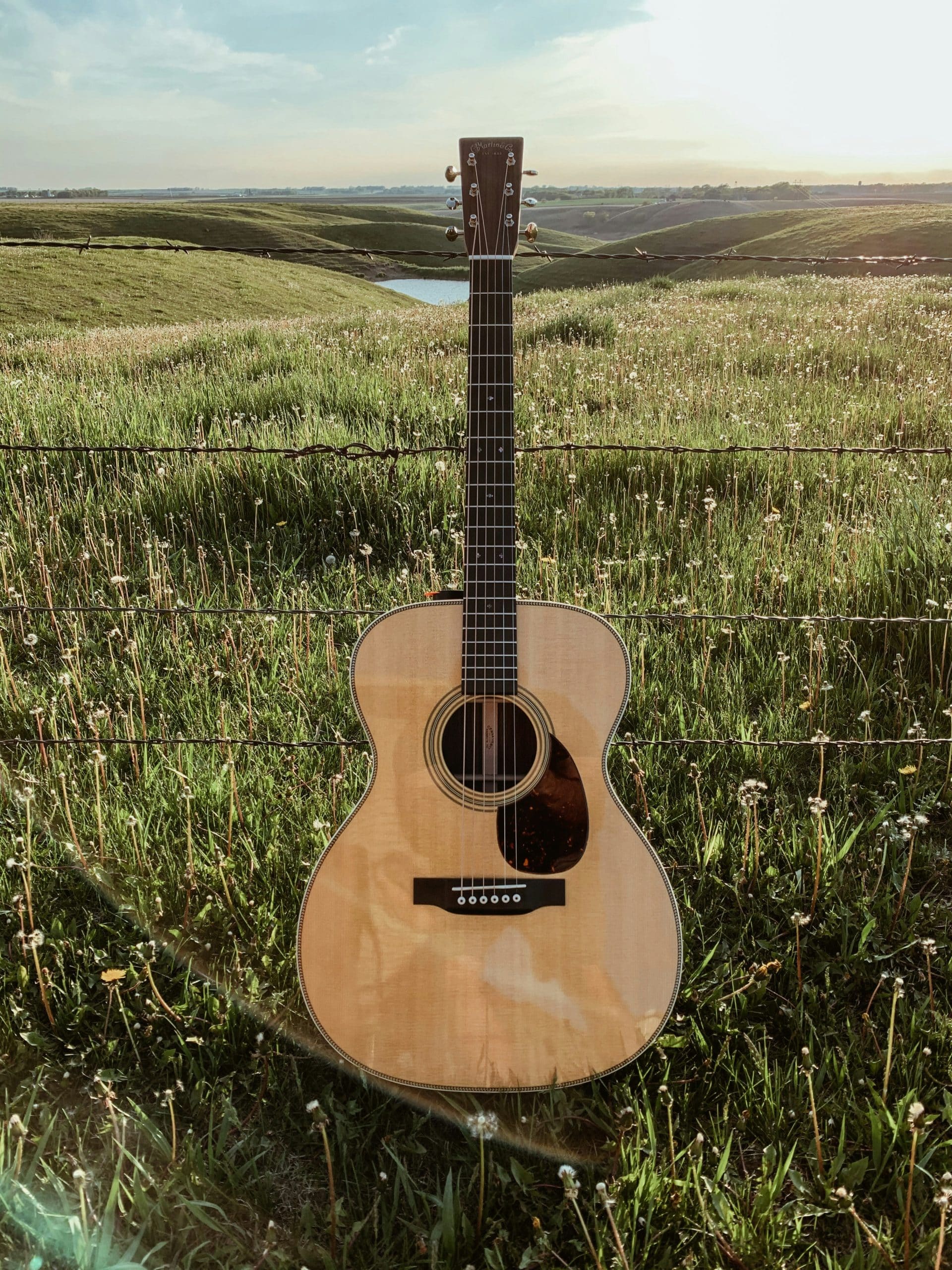 Guitare acoustique Martin & Co. (EST. 1833) dressée contre une clôture barbelée, dans un champ ensoleillé de pissenlits, avec collines et étang en arrière-plan.